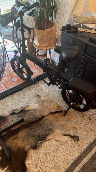 Bicicleta Eléctrica Plegable