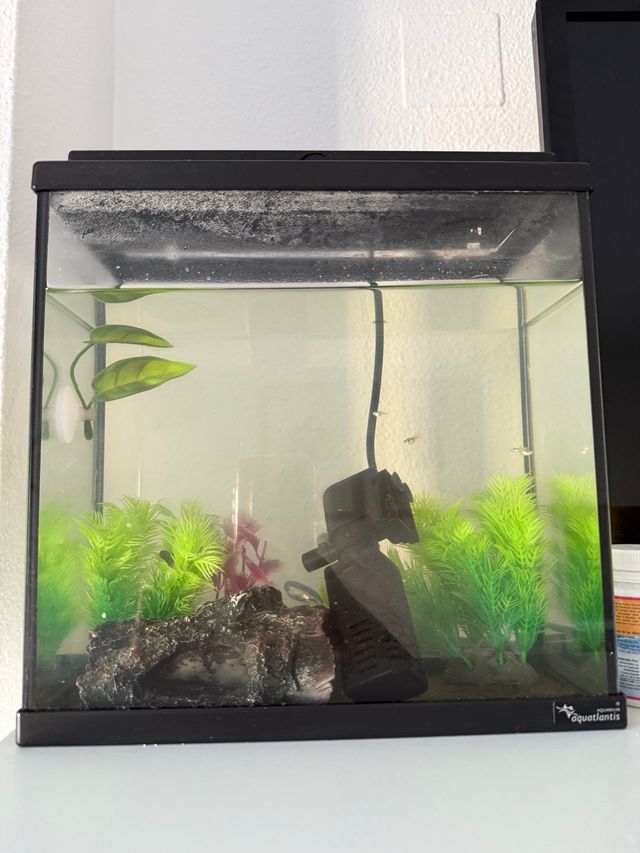 Acuario Negro y Transparente