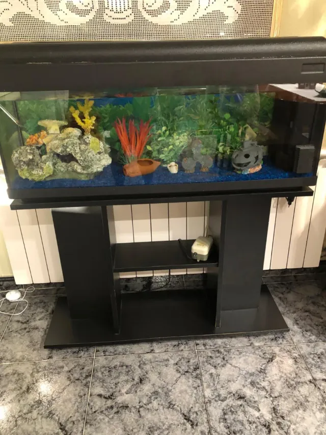 Acuario completo con soporte