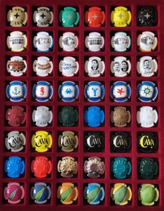 Lote PC1. - 48 Placas / Chapas Cava Distintas.