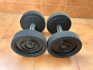 Mancuernas Technogym 8 kg