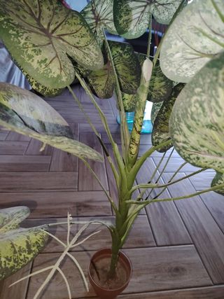 Pianta finta decorativa