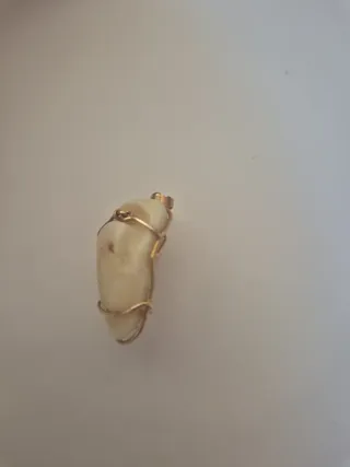 Colgante Hueso Corvina Oro vivo