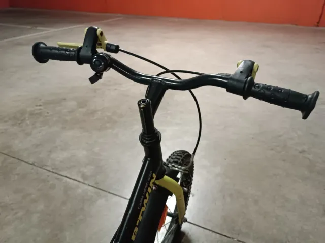 Bicicleta 16 con ruedines