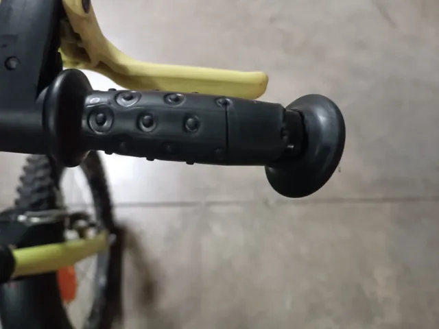 Bicicleta 16 con ruedines