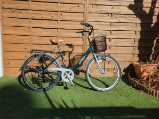 Bicicleta de paseo aluminio