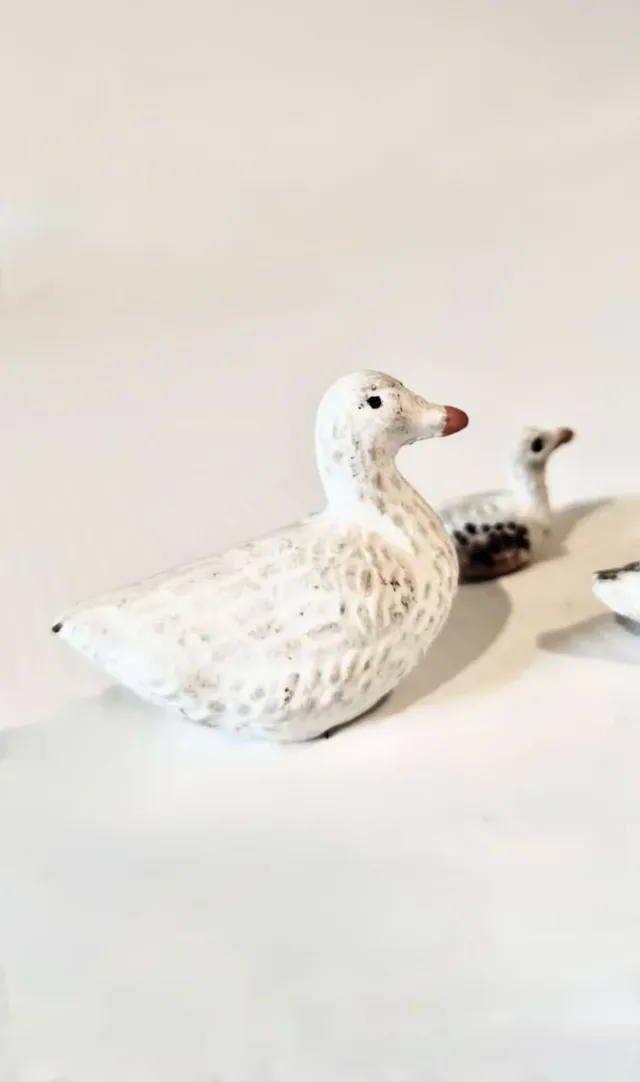 Patos barro per Betlemme