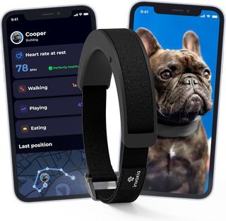 Invoxia Smart Collar GPS - Rastreador Mascotas