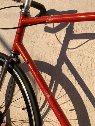 Pinarello Veneto - fixie