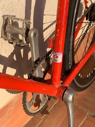 Pinarello Veneto - fixie