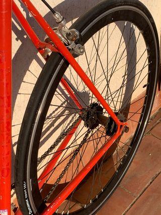 Pinarello Veneto - fixie