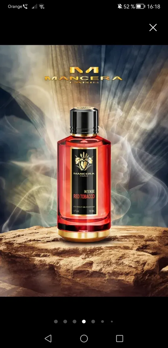 Mancera Red Tobacco Eau de Parfum 120ml