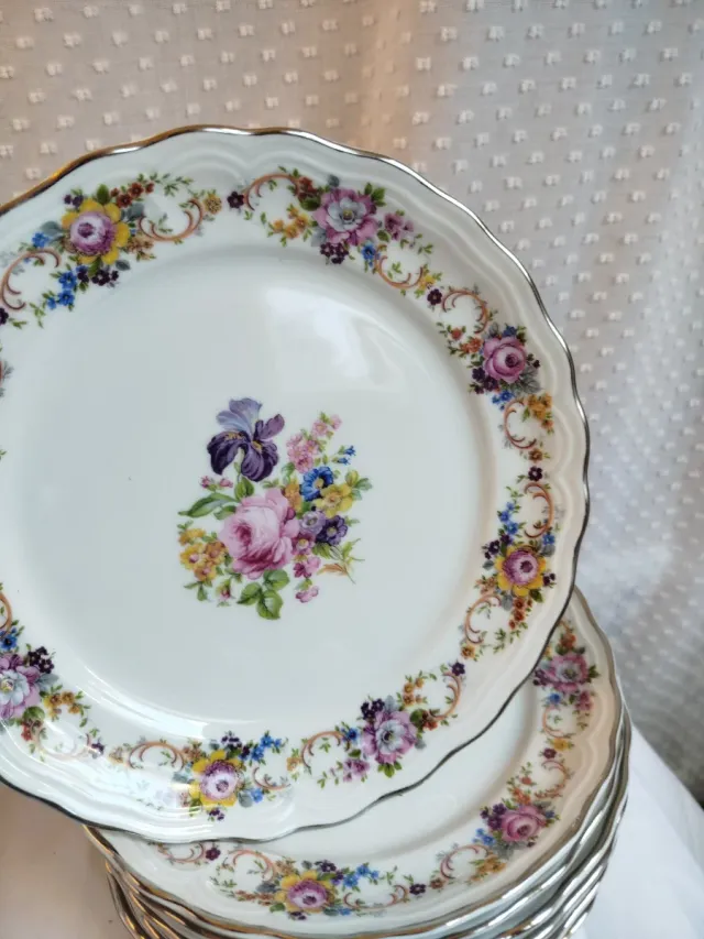 Bidasoa Porcelan Vajilla 57 Piezas Nueva. Una joya