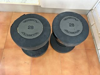 Mancuernas Technogym 28 kg