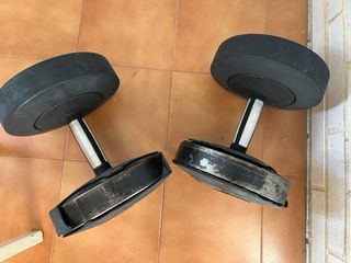 Mancuernas Technogym 28 kg