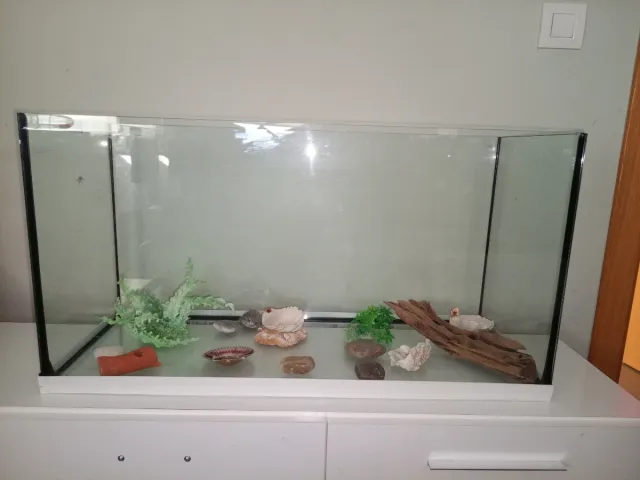 Aquário com decoração