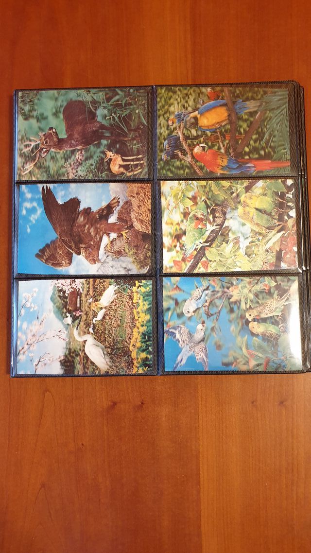 Cartoline da collezione anni '60