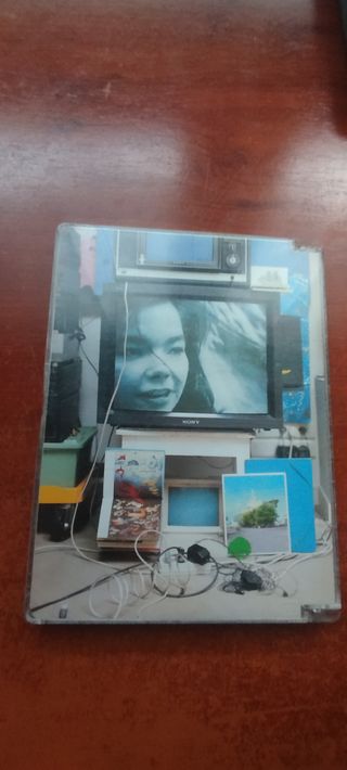 DVD Björk Vespertine