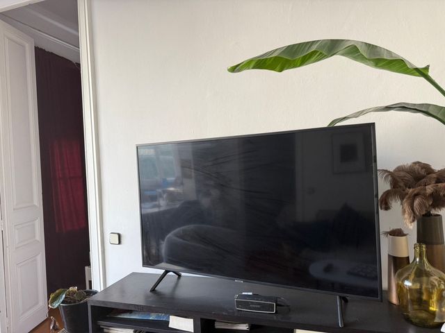 Televisor Samsung Negro