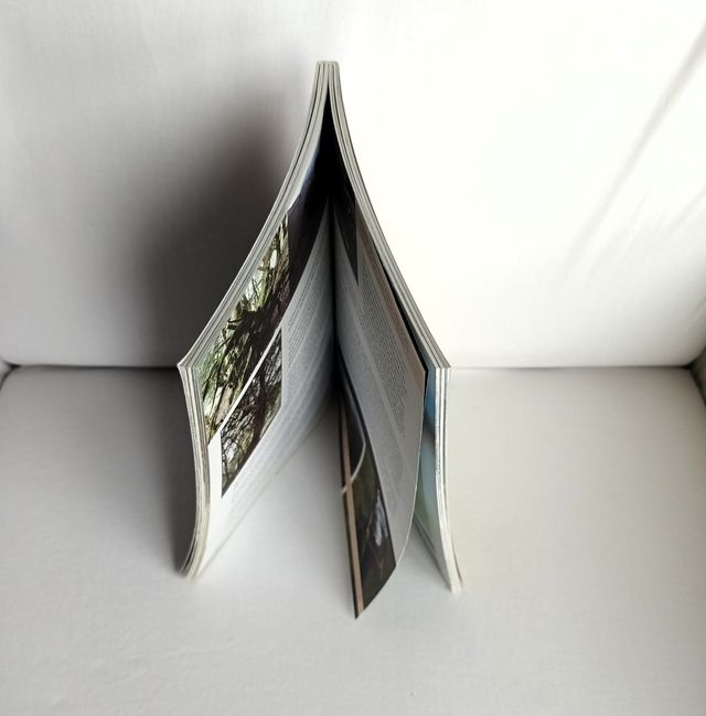 Construir y conservar - diseño y planificacion ...