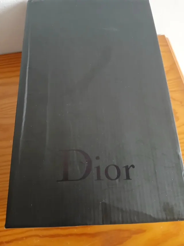 Zapatillas Dior B22 Negras