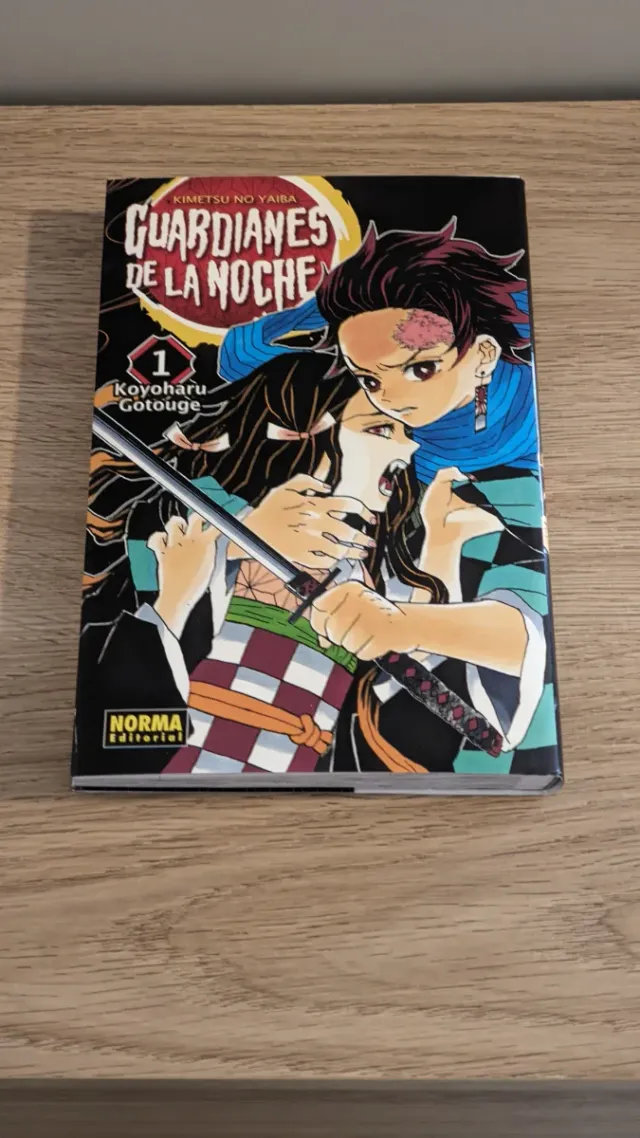 GUARDIANES DE LA NOCHE 01