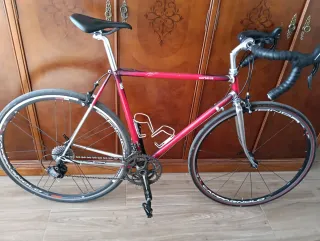 Bicicleta Nortel.le actualizada