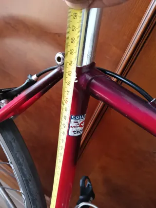 Bicicleta Nortel.le actualizada