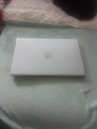 HP Celeron R 256 GB Plata