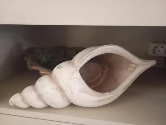 Grande conchiglia decorativa