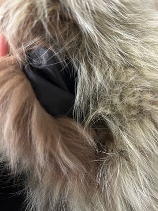 Smanicato Volpe Marrone