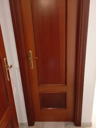 Hoja de puerta de madera