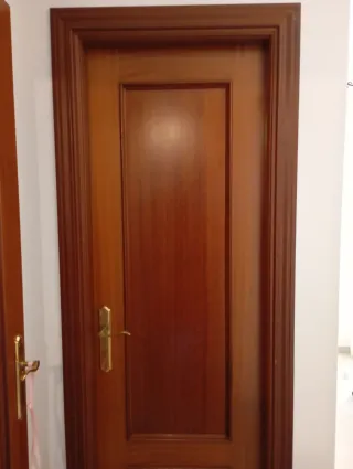 Hoja de puerta de madera