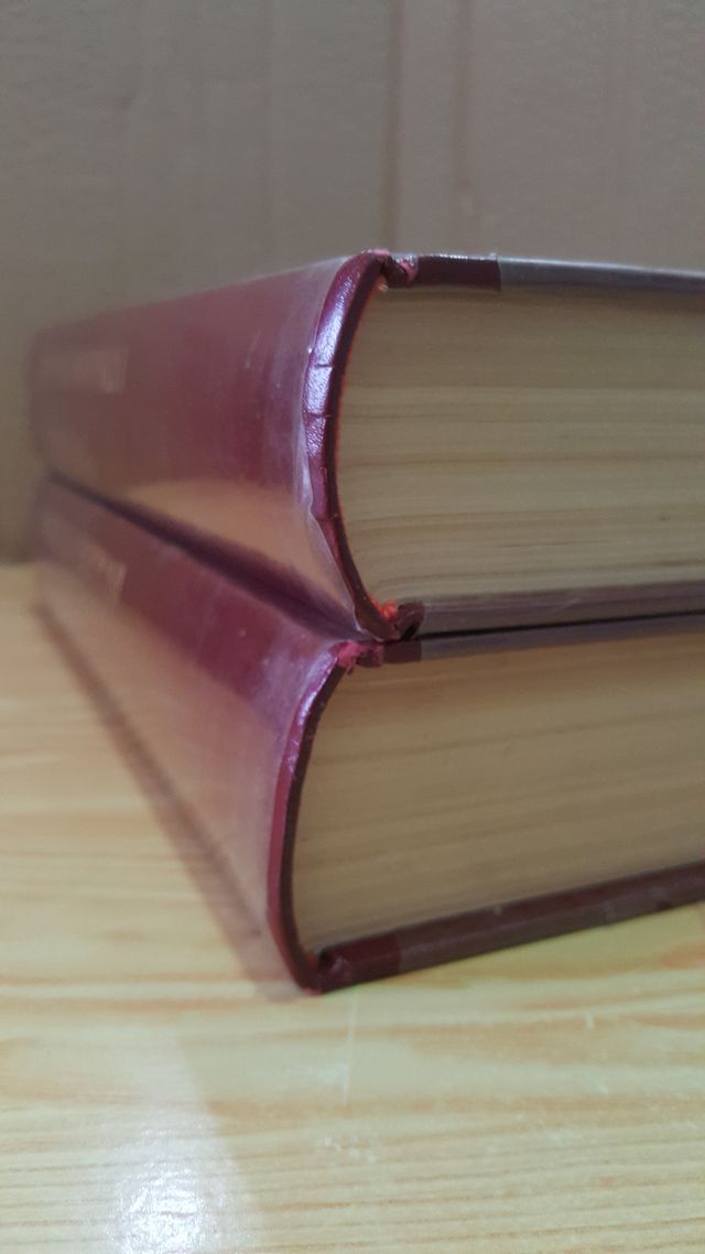 DIZIONARIO INGLESE - ITALIANO / ITALIANO - INGLESE