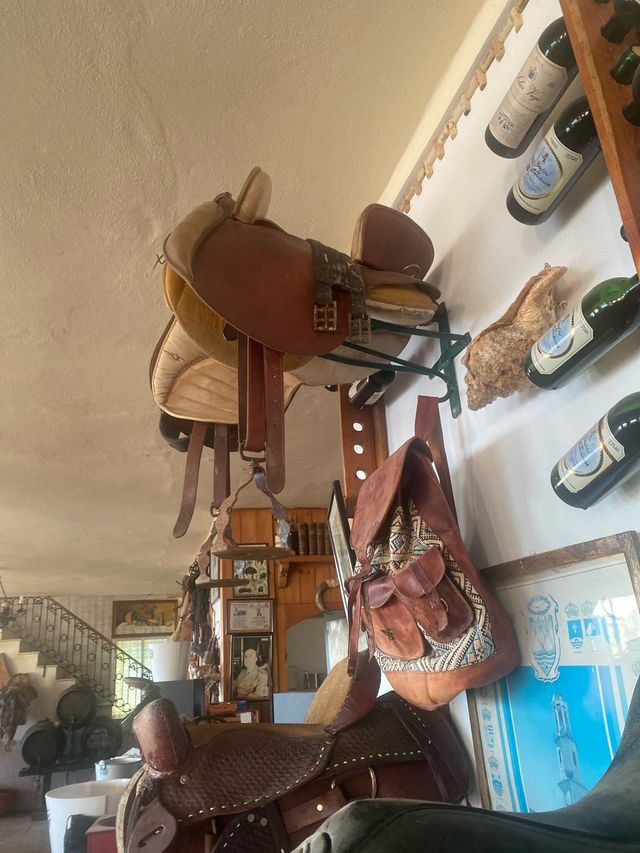 Monturas de cuero para caballo