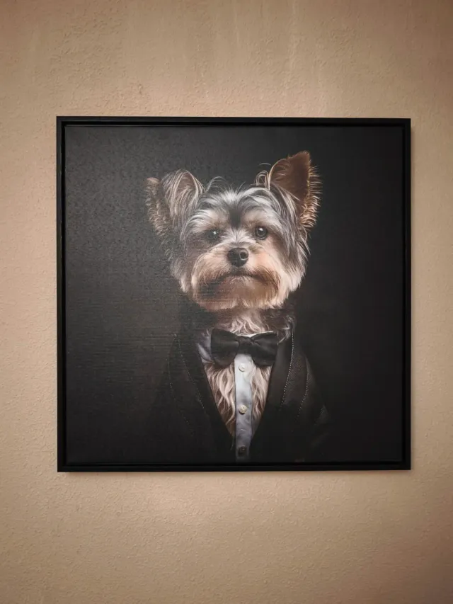 Cuadro Decoración Perro Traje Negro.