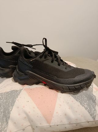 Zapatillas Salomon Alpha Cross 5 Talla 38