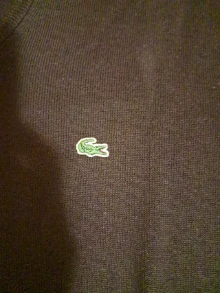 Maglioncino Lacoste marrone