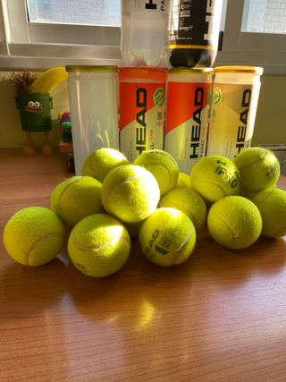 Pelotas de Pádel HEAD Padel Pro