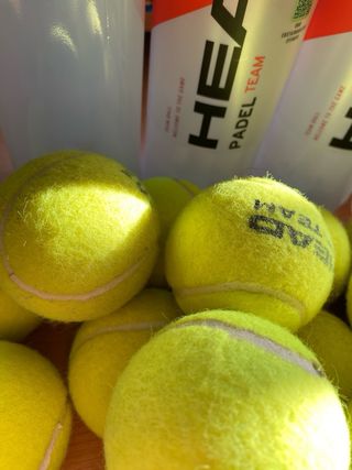 Pelotas de Pádel HEAD Padel Pro