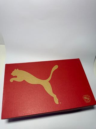 Botas Fútbol Puma Future Ultimate FG/AG