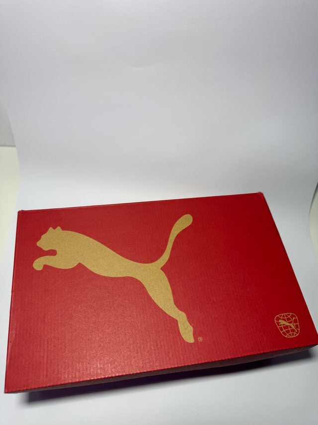 Botas Fútbol Puma Future Ultimate FG/AG