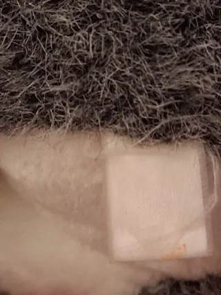 Lotto 5 peluche: Topolino, Silvestro, Titti, Husky