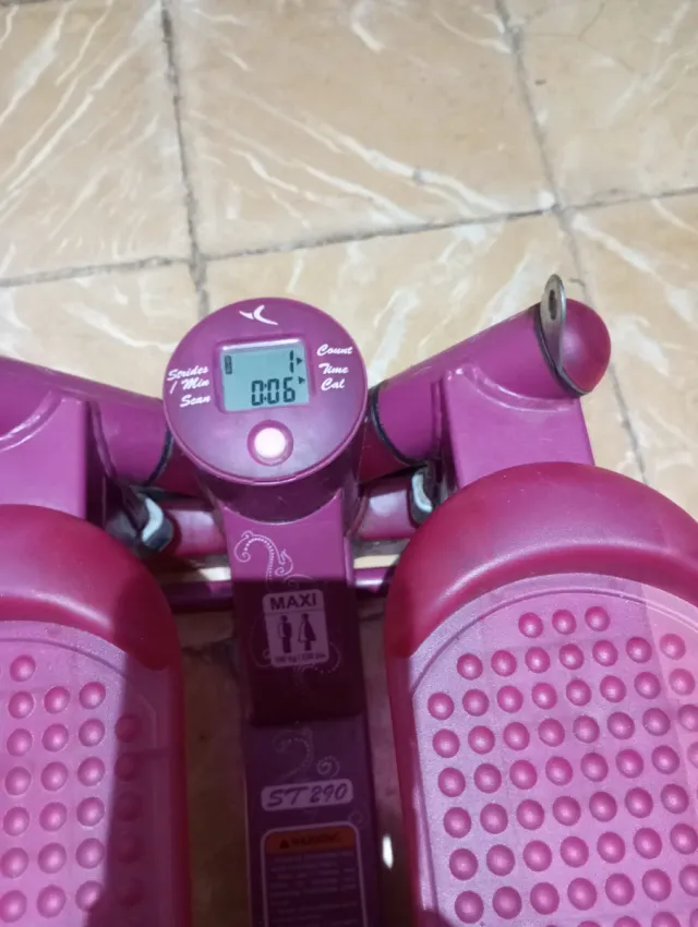 Stepper per palestra Maxi ST 290 viola