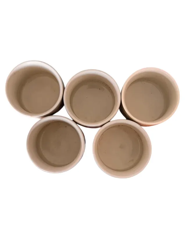 Vasos de sake vintage eróticos (Set de 5)