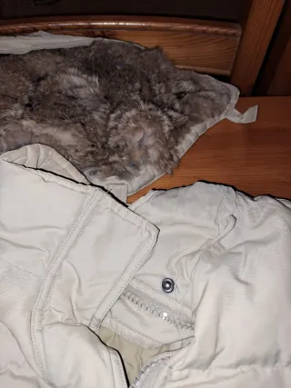 Parka Imbottita WOOLRICH Blizzard Down JKT