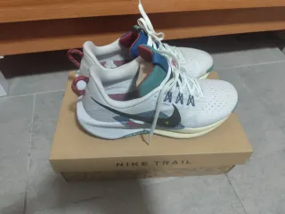 Zapatillas Nike Pegasus Trail