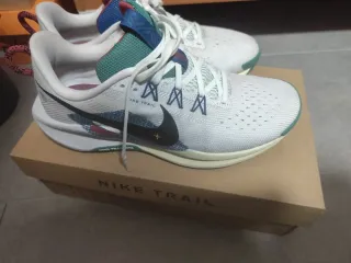 Zapatillas Nike Pegasus Trail