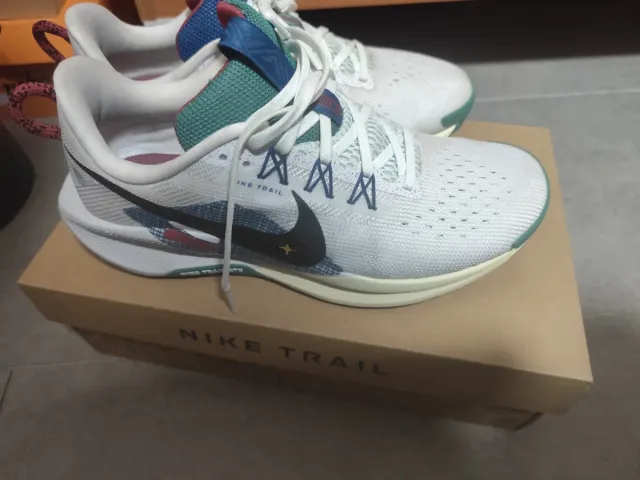 Zapatillas Nike Pegasus Trail