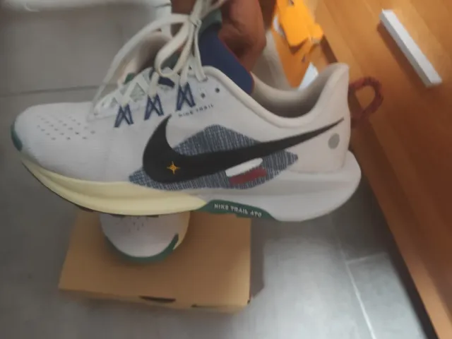 Zapatillas Nike Pegasus Trail